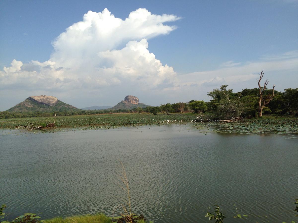 Mowgli Cottage Sigiriya Eksteriør billede